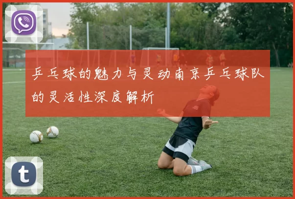 乒乓球的魅力与灵动南京乒乓球队的灵活性深度解析