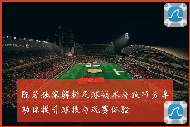 陈芳独家解析足球战术与技巧分享助你提升球技与观赛体验