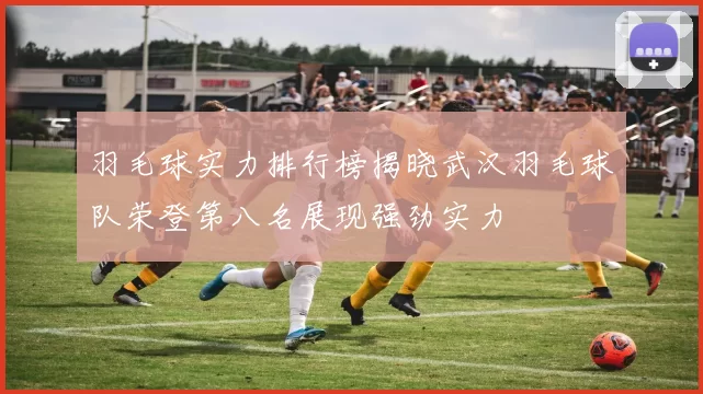 羽毛球实力排行榜揭晓武汉羽毛球队荣登第八名展现强劲实力
