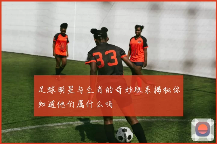 足球明星与生肖的奇妙联系揭秘你知道他们属什么吗