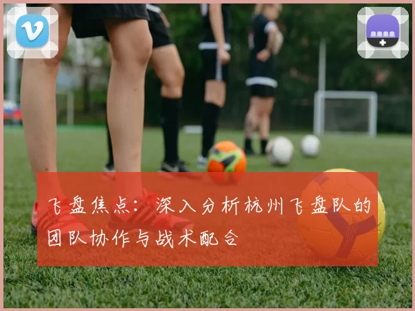 飞盘焦点：深入分析杭州飞盘队的团队协作与战术配合