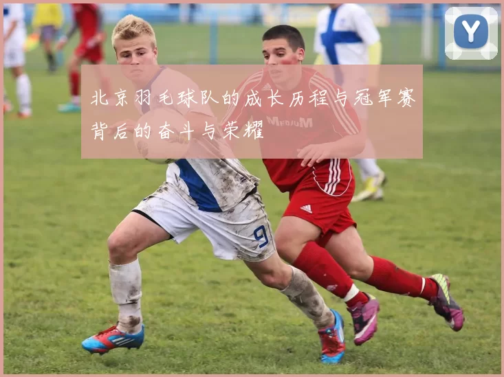 北京羽毛球队的成长历程与冠军赛背后的奋斗与荣耀