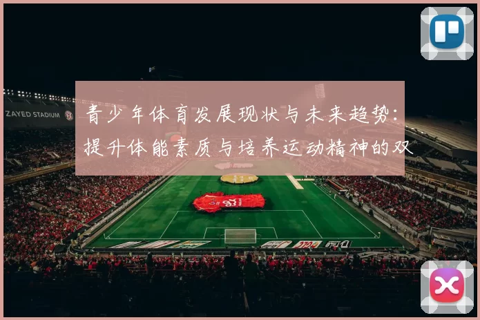 青少年体育发展现状与未来趋势：提升体能素质与培养运动精神的双重路径