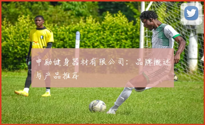申励健身器材有限公司：品牌概述与产品推荐