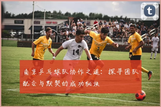 南京乒乓球队协作之道：探寻团队配合与默契的成功秘诀