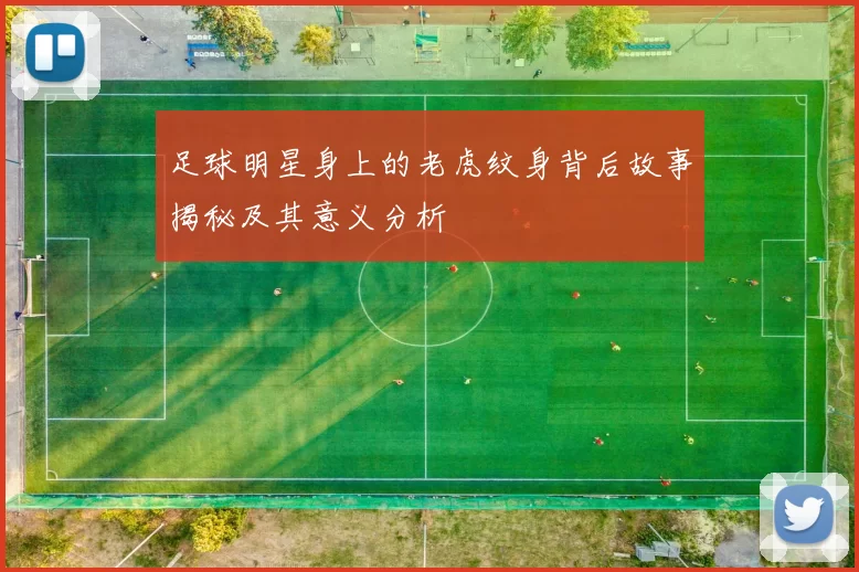 足球明星身上的老虎纹身背后故事揭秘及其意义分析