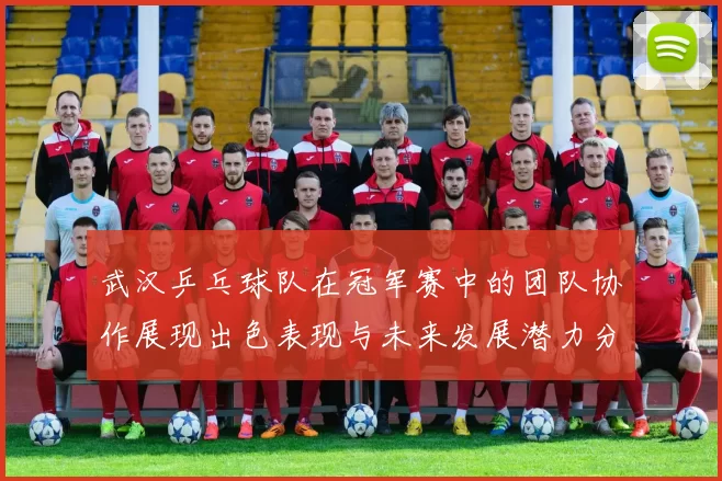 武汉乒乓球队在冠军赛中的团队协作展现出色表现与未来发展潜力分析