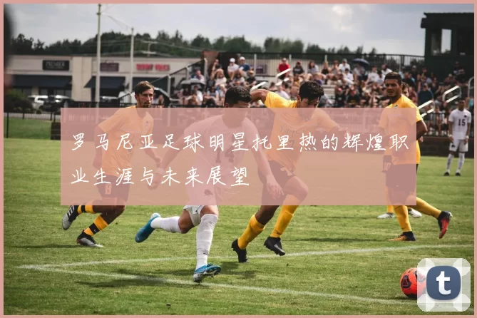 罗马尼亚足球明星托里热的辉煌职业生涯与未来展望