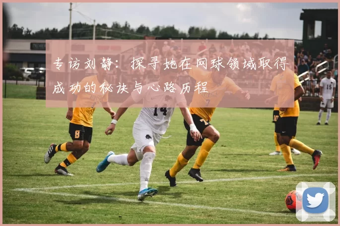 专访刘静：探寻她在网球领域取得成功的秘诀与心路历程