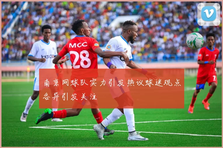 南京网球队实力引发热议球迷观点各异引发关注