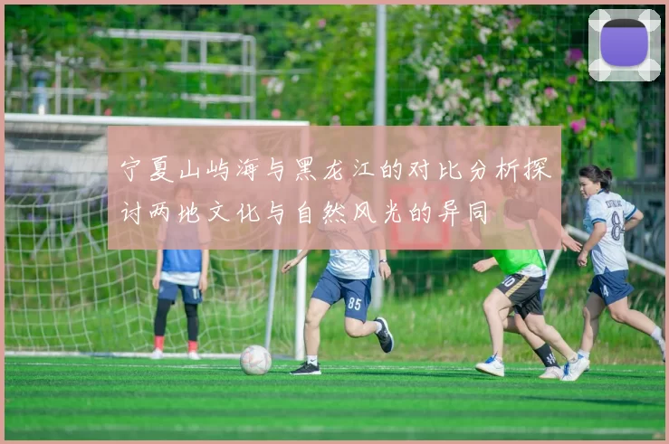 宁夏山屿海与黑龙江的对比分析探讨两地文化与自然风光的异同