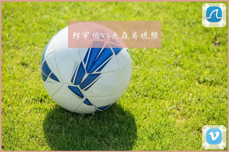 郑宇伯vs杰森肖视频
