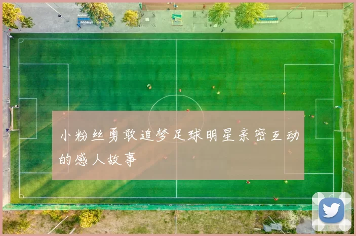 小粉丝勇敢追梦足球明星亲密互动的感人故事