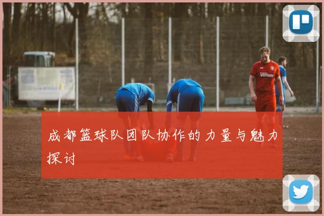 成都篮球队团队协作的力量与魅力探讨