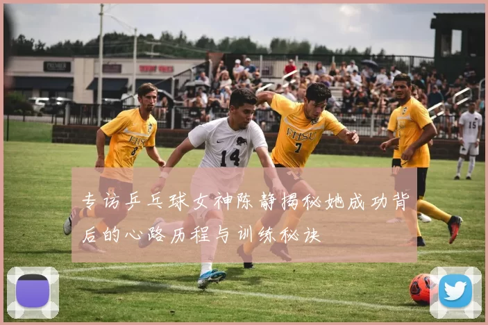专访乒乓球女神陈静揭秘她成功背后的心路历程与训练秘诀