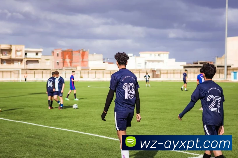 爱游戏平台生态图